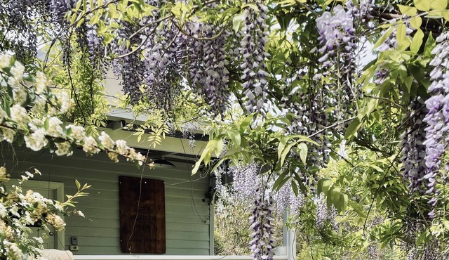 Charming self contained rustic country cottage joined to main farmhouse. in Kirup