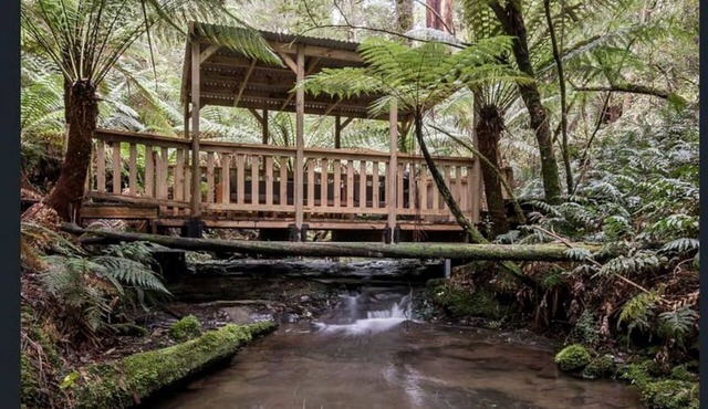Cottage with private Rainforest and Waterfalls in Tanybryn, Victoria in Tanybryn