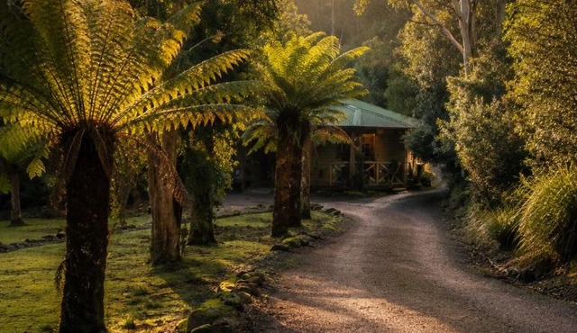 Cradle forest inn in Moina