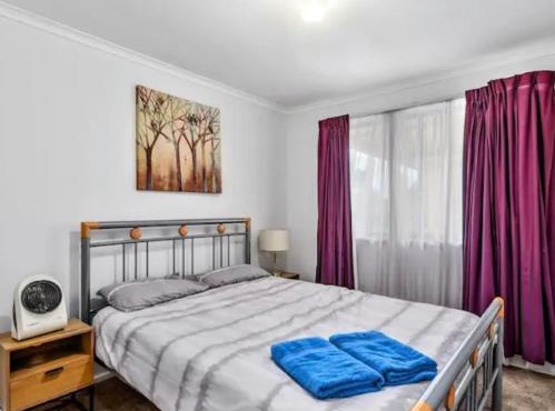 Derwent Delight in Mount Gambier