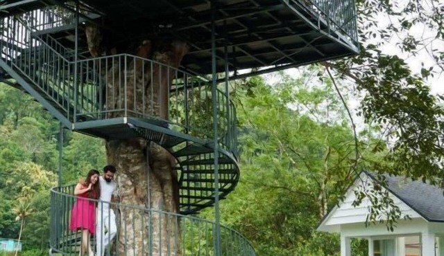 Eden Woods Resorts and Spa in Devikolam