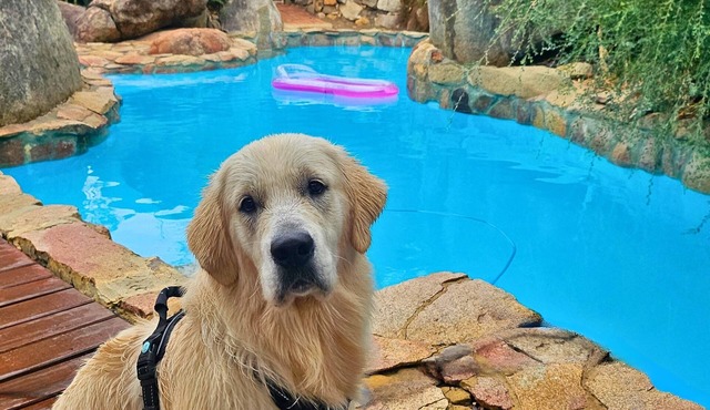 Enclosed Dog‑Friendly Escape with Jacuzzi & Views in Hovea