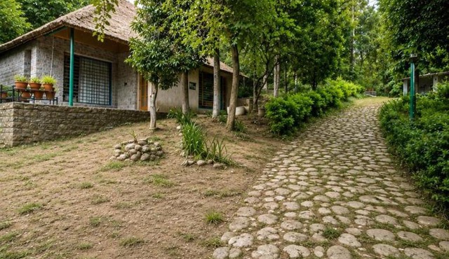 Estate Fernanda Woods