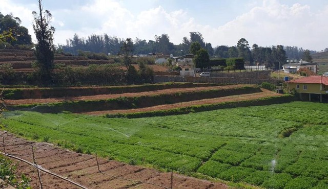 Farm House -ooty in Ooty