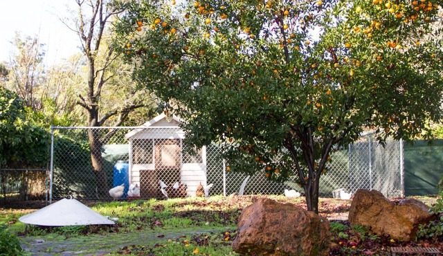 Farview Guest Accommodation in Pickering Brook