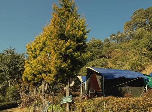 Forest Stay - by TripInterval in Nainital
