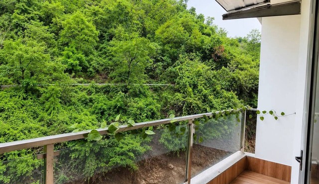 Golden Hours | Balcony Stay in Tapovan