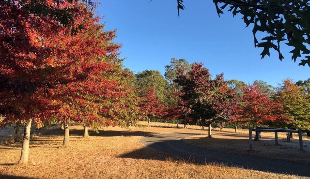 Greenacres - Relaxing Escape in the Macedon Ranges in Bullengarook