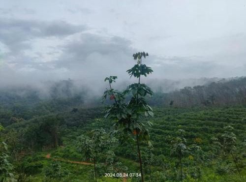 Hillocks and The Spring in Sampaji