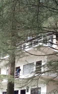 Himalayan Triund Hill View Hostel