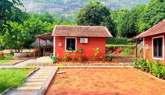 Jungle farmstay