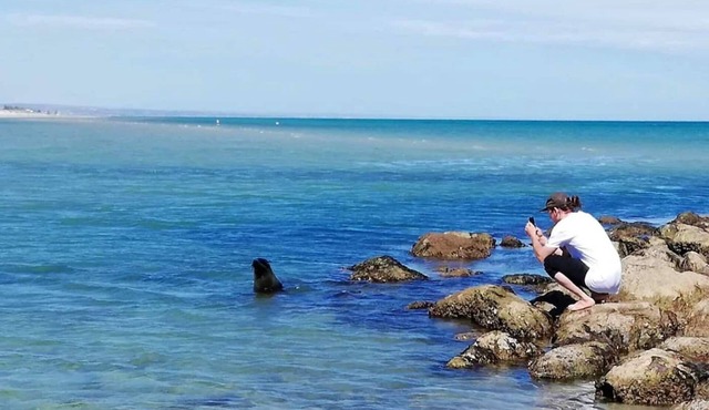 Kangaroo Island in Style: Free WiFi, Beach Access, Wildlife, and Fishing! in Baudin Beach