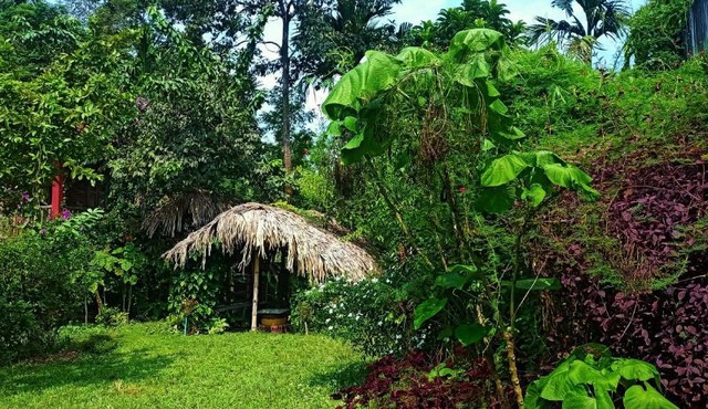 Kaziranga Abode. in Bokakhat