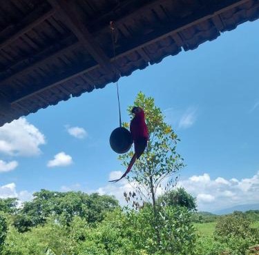 Maati Nature Resort in Kankauli