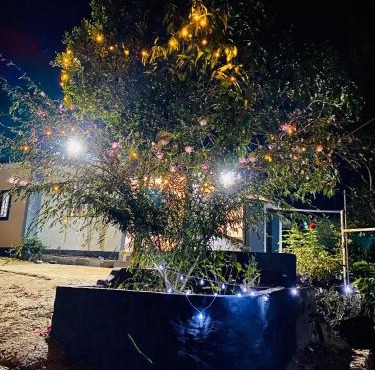 Misty Moon Home stay