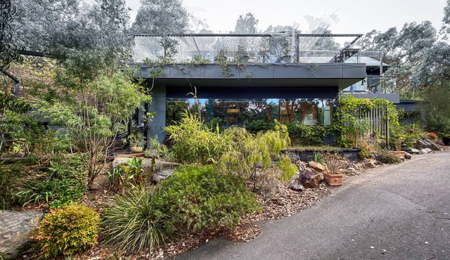 Modern, Calm, in the Treetops in North Warrandyte
