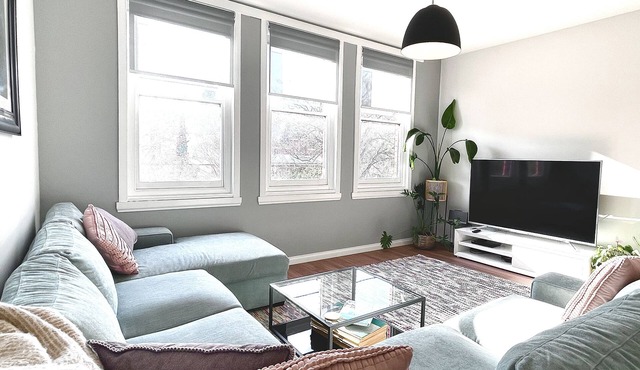 Modern Spacious Apartment across from City Park and the monkeys + free parking! in Launceston