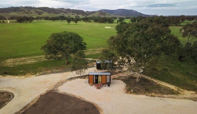 Monte at Sheltered Paddock by Tiny Away in Warrenmang