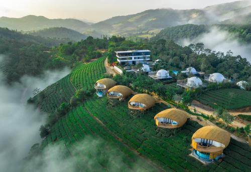 Monticle Glamps in Vagamon