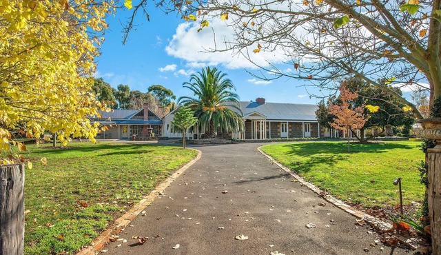 Orchards at Spring Vale Farm in Weatherboard