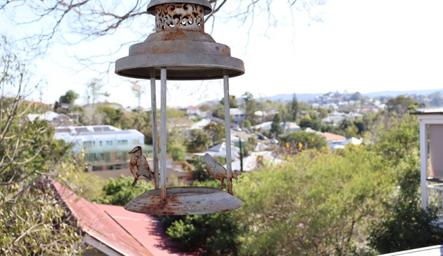 Paddington Tower View Cottage in Red Hill