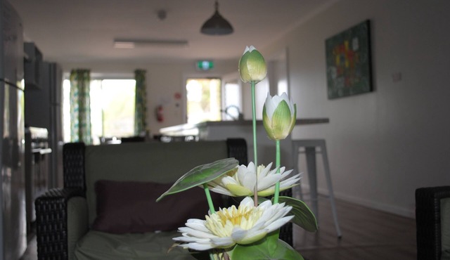 Padthaway Caravan Park in Padthaway