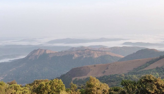 Paradise Wild Hills in Hosanagara