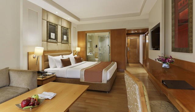 Park Plaza Ludhiana