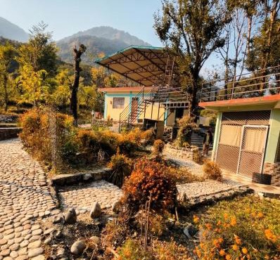Peace Forest Retreat