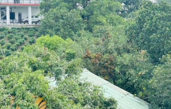 Peace villa in Vagamon