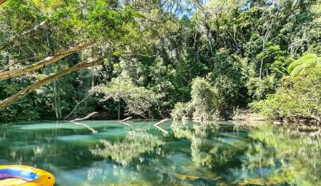 Pristine Rainforest retreat in Speewah