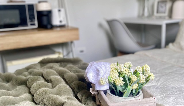 Private Guest Suite in Mt Louisa, 15 minutes Airport Access in Mount Louisa