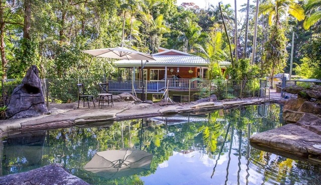 Rainforest Retreat in Kiels Mountain in Kiels Mountain