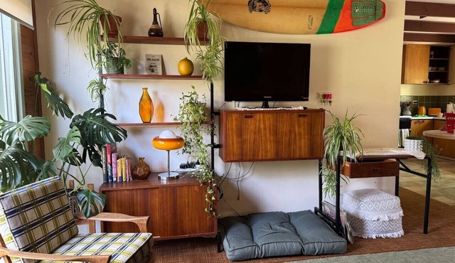 Retro Shack, Cool, Pets, Beach! in Jan Juc
