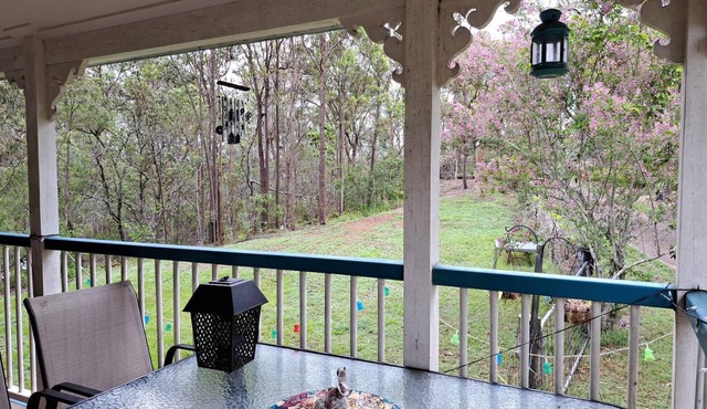 Rustic Sunflower : A large Queensland style homestay. Family&Pets friendly. in Mount Crosby