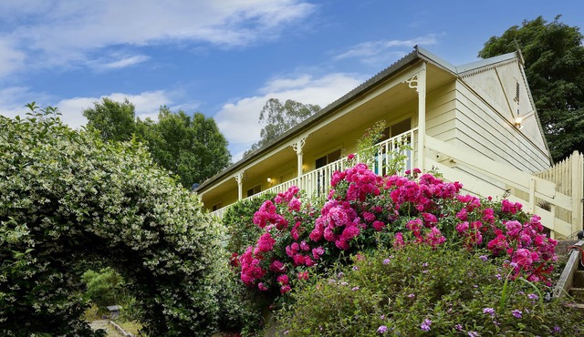 Spacious 3BR Family Haven in Upper Ferntree Gully in Upper Ferntree Gully