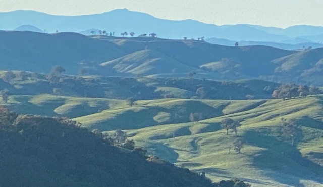 Spectacular views, nature, pet friendly off grid experience in Terip Terip