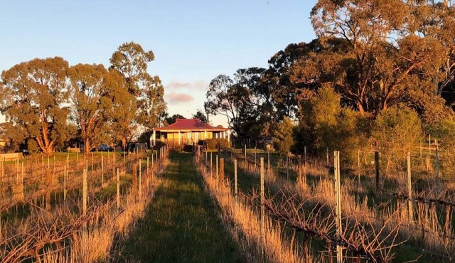 Studio apartment on a vineyard in the heart of the goldfields in Amherst
