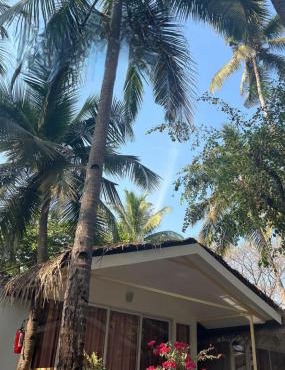 Taste of Nature in Canacona