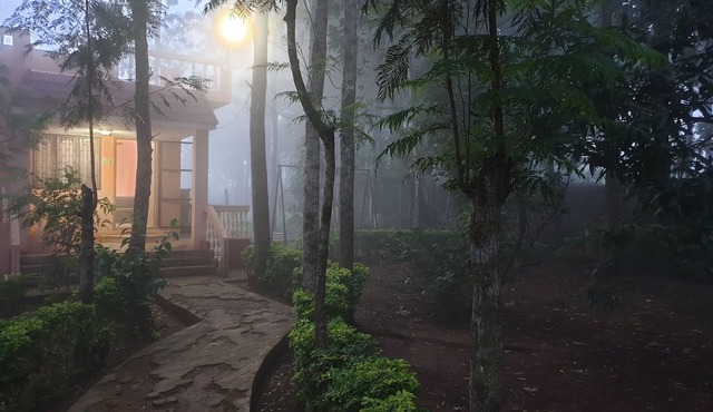 “The Cabin”