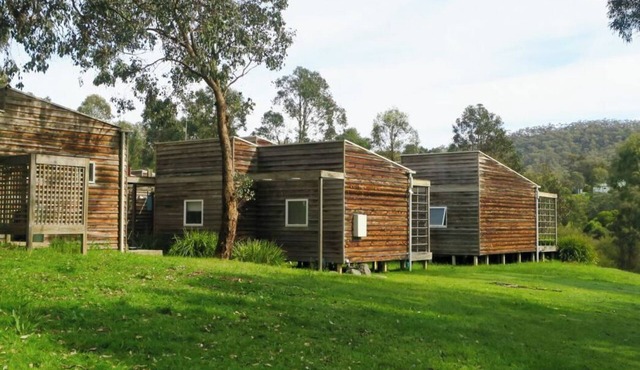 The Cedar house in Eildon