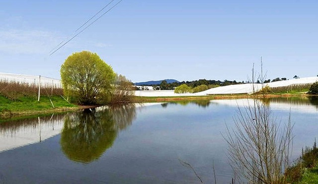 The Orchard House - A quiet country getaway. in Gruyere