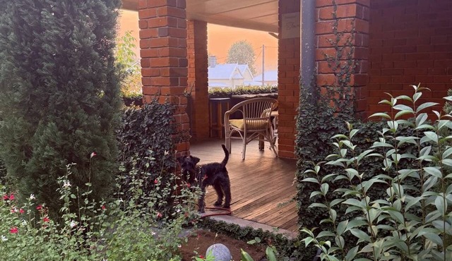 Towncottage Tenterfield Stay with Scenic Views in Tenterfield