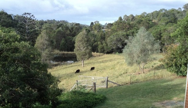Valley View in Ocean View