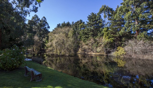 Valley View Nature Retreat – Tranquil Farm Stay in Apollo Bay, Relax and Breathe in Apollo Bay