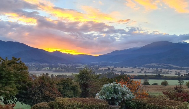 "View 180" - magnificent mountain and valley views. in Tawonga