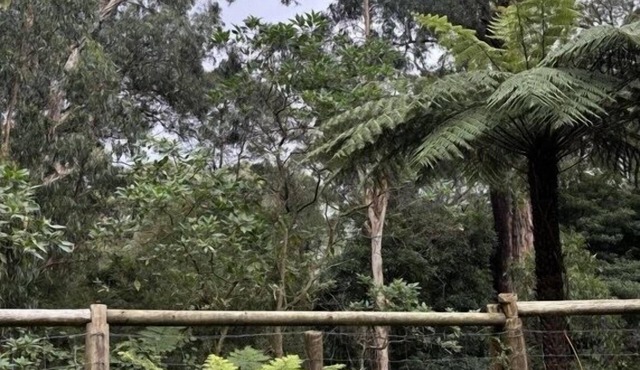 Warburton Hideaway | MTB and Family Friendly in Warburton