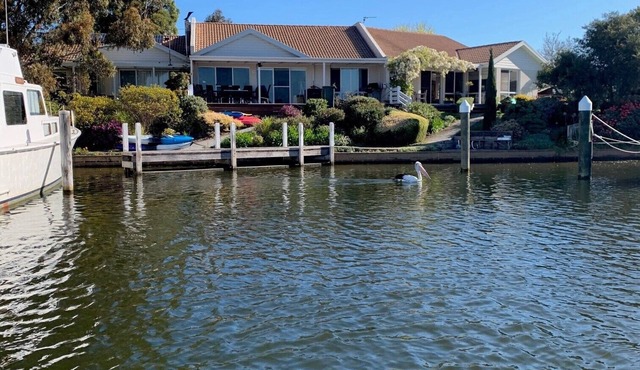 Waterloo- Absolute waterfront in Paynesville