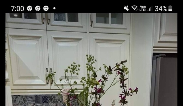 Wee Gem cottage in Albany