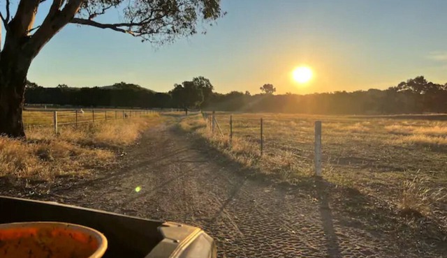 Willuna Sanctuary Farm Stay in Chiltern